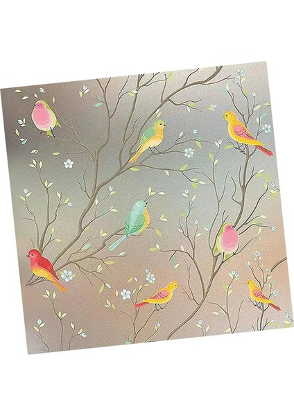 Cam Filmi Gündüz ve Gece Gizlilik Cam Filmi Cafe Ev Yatak Odası Için Beyaz Renk 30X100 cm (Yurt Dışından)