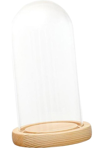 Temizle Cloche Mini Centerpieces Dollhouse Dekorasyon Çiçek 12CMX18CMX14CM (Yurt Dışından)