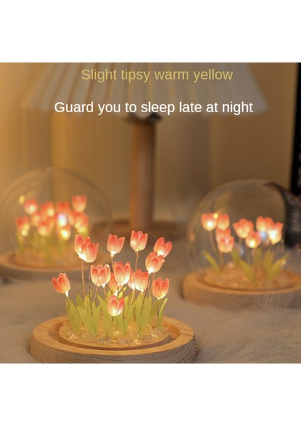 Laleler Gece Lambası El Yapımı Dıy Lale Kız Oturma Odası Gece Lambası Masaüstü Işığı Romantik Ortam Lambası-Pembe (Yurt Dışından) fiyatları