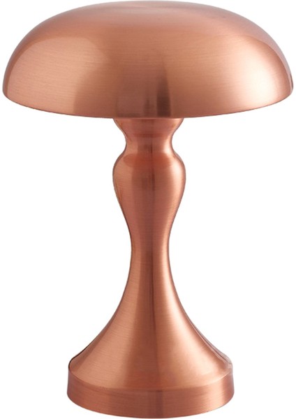 USB Gece Lambası Bar Restoran Oturma Odası Dekoratif Masa Lambası Yatak Odası Başucu Lambası LED Dokunmatik Masa Lambası Bronz (Yurt Dışından)
