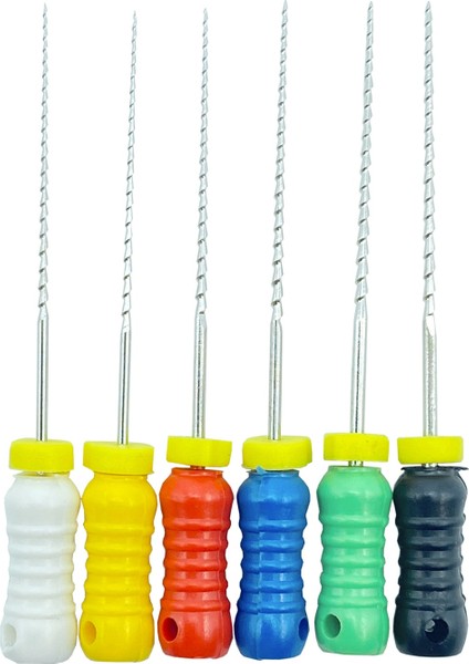 Diş Araçları Kök Kanal Endo H Dosya 21MM 25MM 31MM Paslanmaz Çelik Endodontik Aletler Diş Hekimi Diş Hekimliği Odontologia (Yurt Dışından)