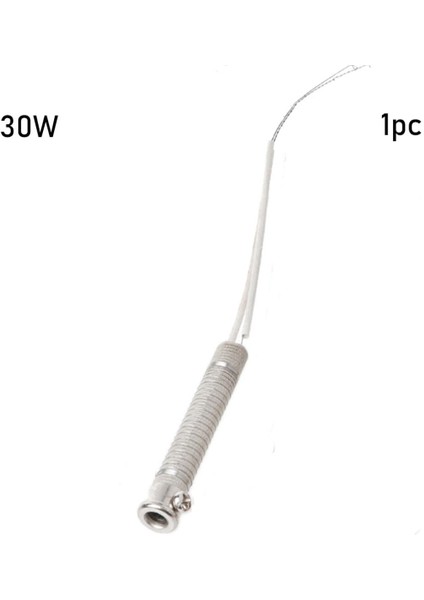 Dayanıklı 220V Havya Çekirdek Isıtma Elemanı Yedek Kaynak Aracı Harici Isı Lehimleme Metal Işleme Aracı 30W 40W 60W (Yurt Dışından)