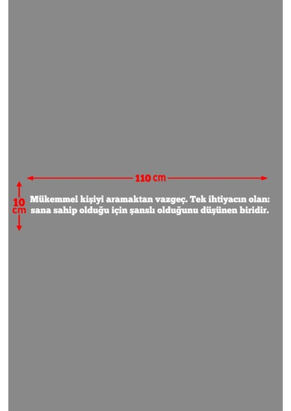 Oto Cam Yazı Sözleri Ticari-Servis-Dolmuş-Panelvan Uzun Sticker Model 30 001 fiyatları