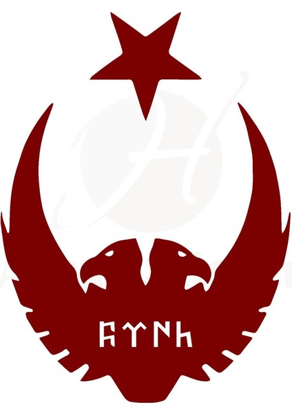 Ay Yıldız Kartal Göktürkçe Türk Oto Sticker Kırmızı 30*25 cm 001