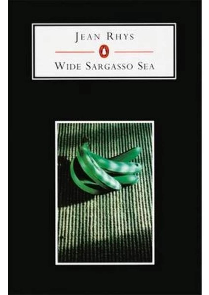 Wide Sargasso Sea - Jean Rhys