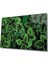 Yeşil Yapraklar Green Leaves Glas 1