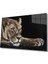 Aslan Cam Tablo 1