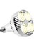 E27 Bitki Lamba Ampulü 35 W LED Bitki Kapalı Bahçe Sera Için Işık Tam Spektrum Sıcak Beyaz Işık Büyütün (Yurt Dışından) 2