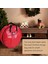 Noel Çelenk Saklama Çantası 23.62INCH Garland Tatil Konteyneri Kolları ve Şeffaf Kart Yuvası Kırmızı (Yurt Dışından) 2