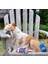Pup Light ve Pups Blue Ribbon - Komik Köpek Oyuncakları - Orta, Küçük ve Büyük Için Peluş Cırlak Köpek Oyuncakları - Köpeğin Doğum Günü Için Sevimli Köpek Hediyeleri - Havalı Doldu (Yurt Dışından) 4