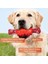 Köpek Çiğneme Oyuncakları Büyük Köpekler Agresif Çiğneme Makineleri ve Diş Çıkarma Oyuncakları Doğal Kauçuklu Naylondiş Bakımı Çiğneme Kemiği Canlı Sığır Eti Kokulu Yavru Köpekler (Yurt Dışından) 3