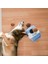 Interaktif Köpek Oyuncakları - Saklambaç Köpek Oyuncakları, Peluş Köpek Bulmacaları ve Renkli Cırlak Köpek Oyuncakları, Kurabiyeler Için 3 Paket Yedekler (Yurt Dışından) 3