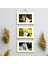 Ahşap 3'lü 10X15 cm Ipli Fotoğraf Askılı Yatay 1