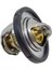 Ford Focus Termostat Kale 1