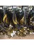 1200W 1600W Çıkış Kablosu Yeni 10 Pin Pcıe Güçleri Konektörü Bitmain Antminer Apw7 + Apw3 Psu L3 D3 (Yurt Dışından) 2