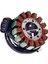 Yamaha YFM550 YFM700 Grizzly 550 700 09-15 28P-81410-00 Için Magneto Stator Bobini (Yurt Dışından) 2