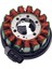 Yamaha YFM550 YFM700 Grizzly 550 700 09-15 28P-81410-00 Için Magneto Stator Bobini (Yurt Dışından) 5