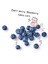 Blueberry Şeker Ilavesiz Vegan Glütensiz Kuruyemiş Bar 15 Adet 4