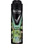 Deodorant Nane ve Sedir Ağacı Men 150 ml 1