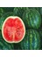 Dev Karpuz Tohumu Geleneksel Watermelon Florida Giant 2