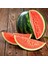 Dev Karpuz Tohumu Geleneksel Watermelon Florida Giant 3