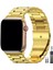 Apple Watch Uyumlu 42MM 44MM 45MM 49MM 1/2/3/4/5/6/se/7/8/9/ultra 2 Metal Kordon Premium 1