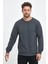 Erkek Antrasit Bisiklet Yaka Nakış Detaylı  Regular Fit Sweatshirt 2