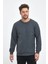 Erkek Antrasit Bisiklet Yaka Nakış Detaylı  Regular Fit Sweatshirt 3