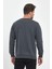 Erkek Antrasit Bisiklet Yaka Nakış Detaylı  Regular Fit Sweatshirt 6