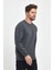 Erkek Antrasit Bisiklet Yaka Nakış Detaylı Regular Fit Sweatshirt 4