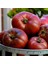 Siyah Karbon Domates Tohumu Geleneksel Carbon Tomato Seeds 2