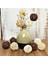 15 Paket 5 cm Hasır Rattan Topları Vazo Dolgu Dekor Dekorasyon Zanaat Dıy (Yurt Dışından) 3