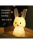 LED Gece Lambası Tavşan Hayvan Karikatür Silikon Lamba Kısılabilir USB Şarj Edilebilir Çocuk Uyku Işığı Doğum Günü Hediyesi (Yurt Dışından) 3