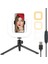D21 7 Inç LED Kare Dolgu Işığı 3 Vites Ayarı Dolgu Işığı Telefon Tripod USB Katlanabilir Telefon Tutucu (Yurt Dışından) 4