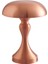 USB Gece Lambası Bar Restoran Oturma Odası Dekoratif Masa Lambası Yatak Odası Başucu Lambası LED Dokunmatik Masa Lambası Bronz (Yurt Dışından) 1