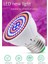 E27 80 Bitki Büyümek Lamba LED Tam Spektrum Büyüme Ampuller Fide Çiçek Kapalı Topraksız Bitkiler Için Fito Lamba (Yurt Dışından) 2
