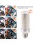 E27 LED Ampuller, 3 Adet 3000K Sıcak Beyaz Akkor Ampuller 15W LED Mısır Işık Paketi (Yurt Dışından) 3