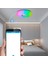 LED Tavan Lambası Kablosuz Uzaktan Akıllı Işık Rgb Kısılabilir App Bluetooth Müzik Yatak Odası Oturma Için 335X70MM (Yurt Dışından) 4