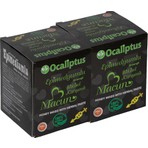 Ocaliptus Epimedyumlu Gingsengli Bitkisel Karışımlı MACUN2X240