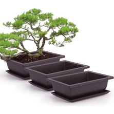 1pc Saksı Plastik Balkon Kare Saksılar Çiçek Bonsai Kase Kreş Havzası Jessica (Yurt Dışından)