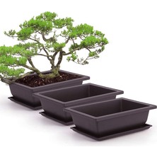 1pc Saksı Plastik Balkon Kare Saksılar Çiçek Bonsai Kase Kreş Havzası Jessica (Yurt Dışından)