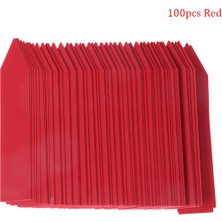 100 Adet 10X2 cm Plastik Bitki Etiketleri Mark Bitki Etiketi Bahçe Bahçecilik Kreş Jing (Yurt Dışından)