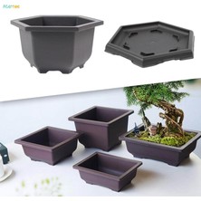 Tepsili Eğitim Saksıları Saksı Sağlam Bitkiler Büyüyen Saksı Bonsai Eğitim Saksıları Ofis Masası Için Çok Fonksiyonlu Büyük Kapalı Balkon (Yurt Dışından)