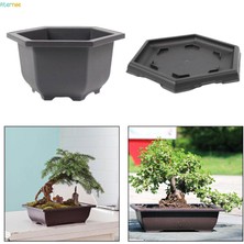 Tepsili Eğitim Saksıları Saksı Sağlam Bitkiler Büyüyen Saksı Bonsai Eğitim Saksıları Ofis Masası Için Çok Fonksiyonlu Büyük Kapalı Balkon (Yurt Dışından)