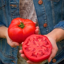 Zengarden Dev Ponderosa Kırmızı Domates Tohumu Ince Kabuklu Ponderosa Red Beefsteak Heirloom Tomato