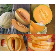 Zengarden Dev Kavun Tohumu Geleneksel Melon Best Jumbo Hales