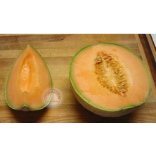 Zengarden Dev Kavun Tohumu Geleneksel Melon Best Jumbo Hales