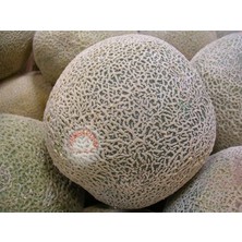 Zengarden Top Kavun Tohumu Cantaloupe Melon Top Mark