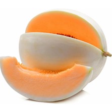 Zengarden Top Kavun Tohumu Amerikan Honeydew Orange Flesh