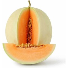 Zengarden Top Kavun Tohumu Amerikan Honeydew Orange Flesh